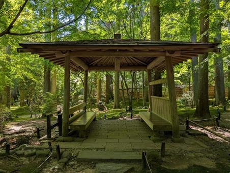 円通院 円通院 松島,松島海岸,円通院の写真素材