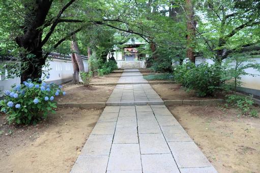 A picturesque view of the approach to Kaizenji Temple in Ueda, Shinshu, kaizenji temple, road, soil wall, JPG