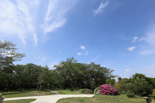 青空と雲の写真