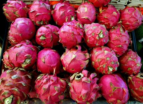 ドラゴンフルーツ ドラゴンフルーツ,果物,トロピカルの写真素材