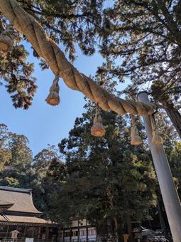 神社の入り口。 神社,しめ縄,木材の写真素材