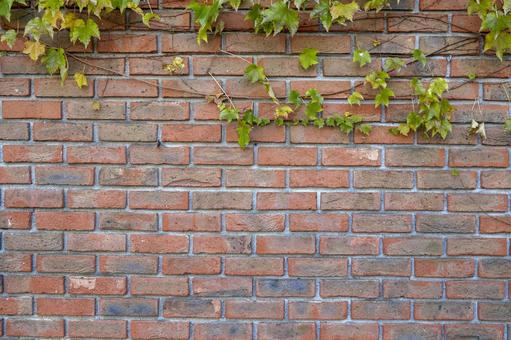 背景素材　レンガ レンガ,つた,真正面の写真素材