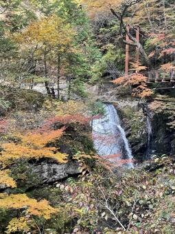 錦秋の渓谷 山,森,川の写真素材