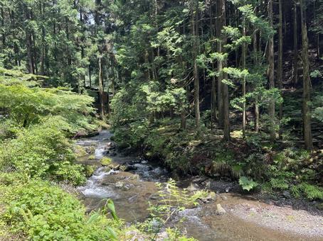 貴船川 貴船,川,京都の写真素材