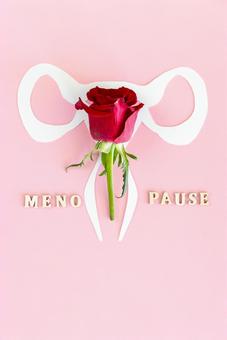 紙と薔薇でできた子宮とMENOPAUSEの文字 生理,月経,menopauseの写真素材