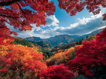 深山を彩る紅葉の谷 深山を彩る紅葉の谷の写真