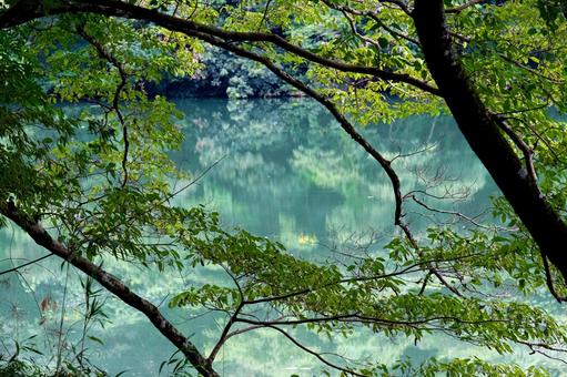 静かな湖の写真