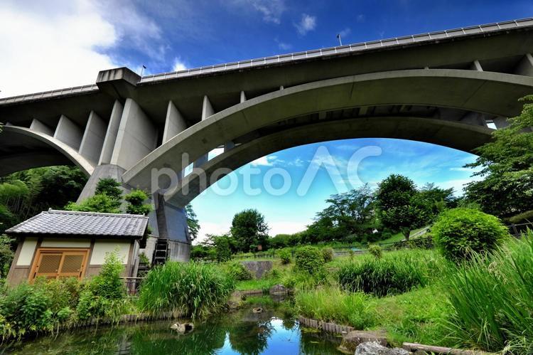 初夏の上谷戸親水公園② 上谷戸親水公園,公園,橋の写真素材