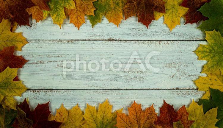 秋のフレーム 秋,フレーム,落ち葉の写真素材