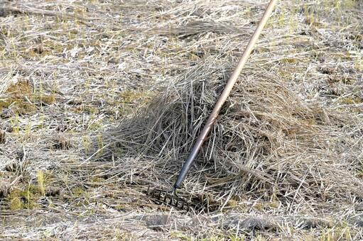 田んぼの藁焼きの枯草を集めたレーキ 藁,田んぼ,枯草の写真素材