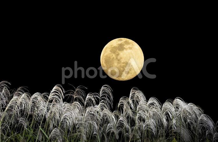 秋のお月見。中秋の名月の満月とススキ お月見,満月,ススキの写真素材