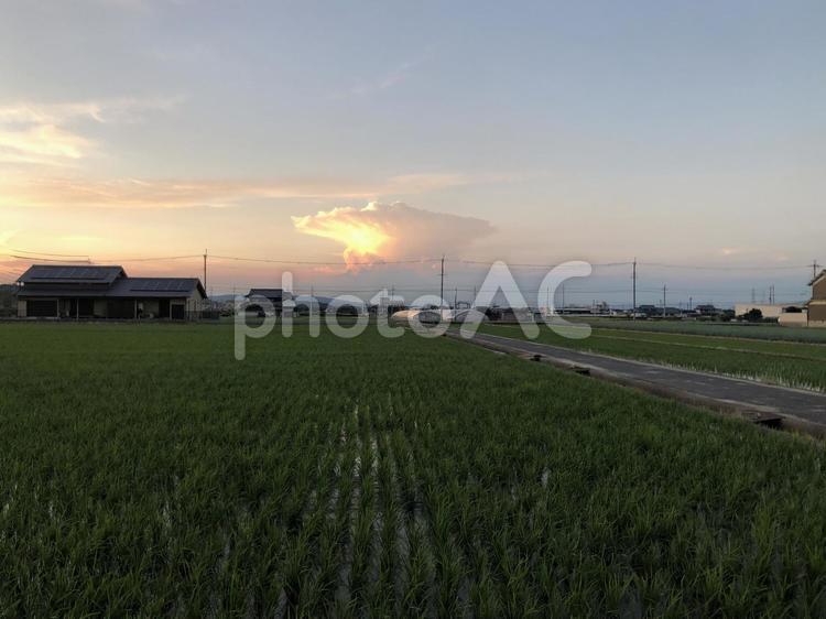 夕暮れ 夕焼け,景色,太陽の写真素材