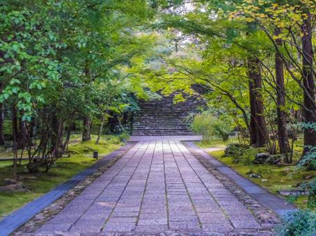 【高知県】高知市・竹林寺 竹林寺,寺院,お遍路の写真素材