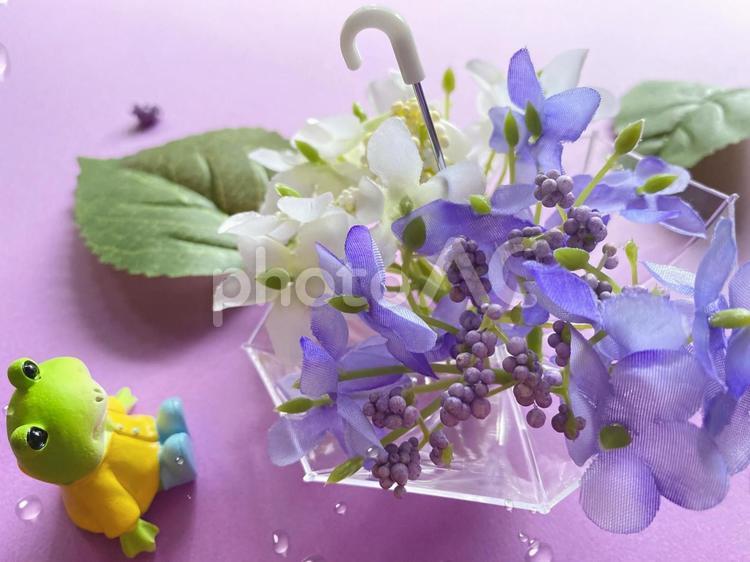 かわいい梅雨イメージ 梅雨,梅雨イメージ,6月の写真素材