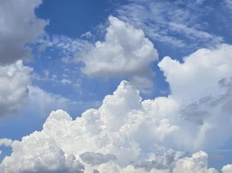夏の空12 夏の空12の写真