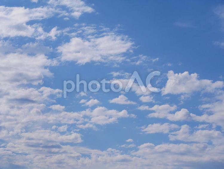 青空と雲模様 空,雲,青空の写真素材