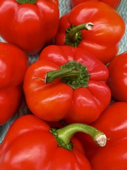 パプリカ 赤 大量に並んで パプリカ 赤 大量に並んで 八百屋,野菜,スーパーの写真素材