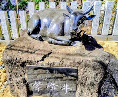 筑波山神社の撫で牛 茨城県,ハイキング,絶景の写真素材