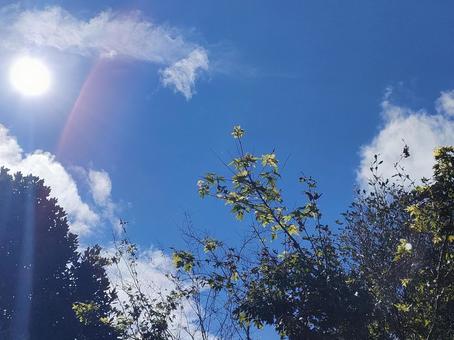 10月の青空 光条 1 10月の青空 光条 1の写真