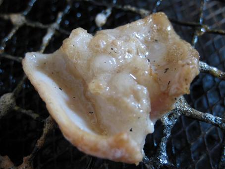 ホルモン 牛ホルモン もつ煮 もつ焼 ホルモン 牛ホルモン もつ煮 もつ焼 の写真