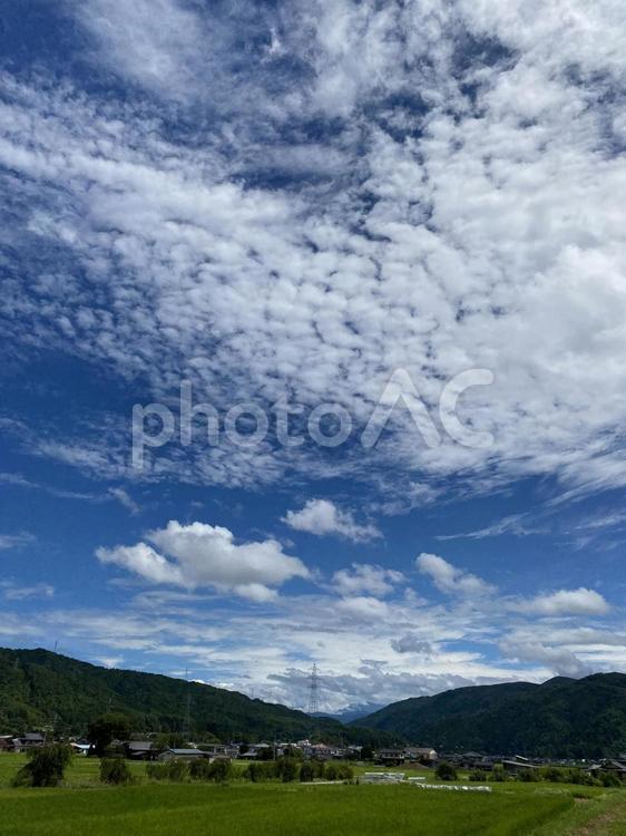 田舎、夏空、風景 風景,田舎,夏の写真素材