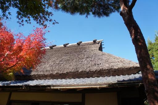 一条恵観山荘の紅葉 一条恵観山荘,鎌倉,日本庭園の写真素材