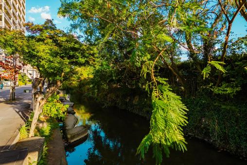 【佐賀】佐賀駅の周辺の写真
