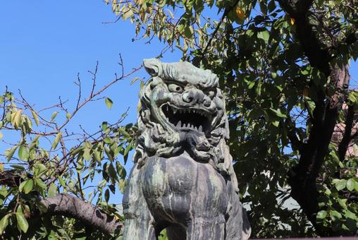 生國魂神社 狛犬 生國魂神社 狛犬の写真