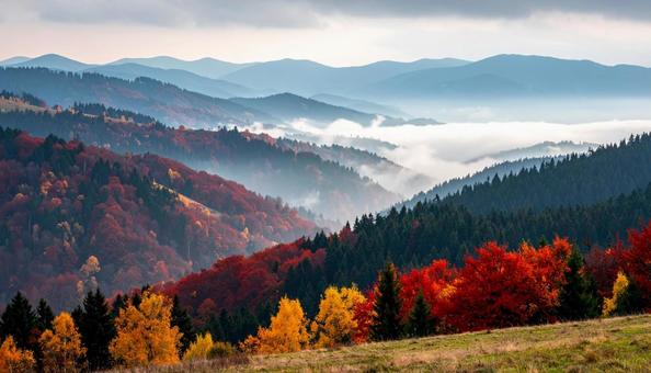 霧に包まれる紅葉の山々 霧に包まれる紅葉の山々の写真