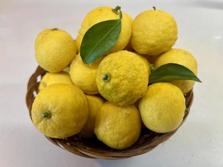 かご盛りの柚子 柚子,かご盛り,葉付きの写真素材