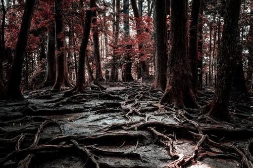 紅葉と生命の神秘 紅葉と生命の神秘の写真