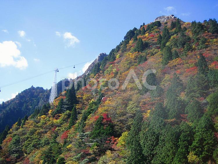 紅葉の御在所岳とロープウェイ 御在所岳,御在所,ロープウェイの写真素材