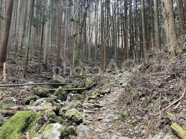 浅間尾根の風景（払沢の滝～浅間嶺） 浅間尾根,風景,景色の写真素材