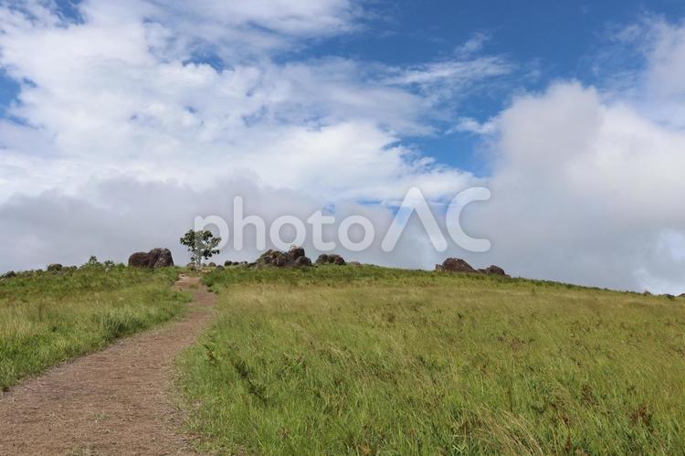 押戸石の丘 草むら,風景,ブルーの写真素材