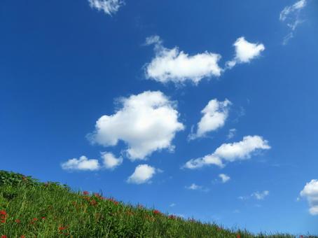 秋晴れの空 秋晴れの空 秋晴れ,青空,爽快の写真素材