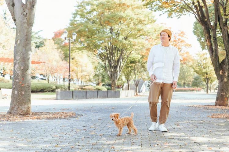 公園で犬と遊ぶ男性（全身） 犬,ペット,飼い主の写真素材