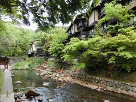熊本 黒川温泉街を流れる田の原川1 熊本 黒川温泉街を流れる田の原川1 黒川温泉,南小国温泉郷,温泉郷の写真素材