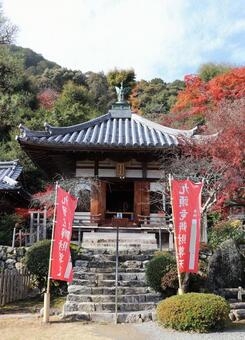 二尊院　弁天堂 二尊院,弁天堂,小倉山の写真素材