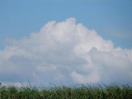 【空の写真】夏空 【空の写真】夏空の写真