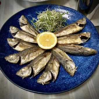 小鯵のフリット 旦那飯,男の料理,手料理の写真素材