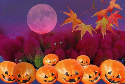 ハロウィンイメージ素材/秋月夜のお化け ハロウィンイメージ素材/秋月夜のお化け ハロウィン,秋,月夜の写真素材
