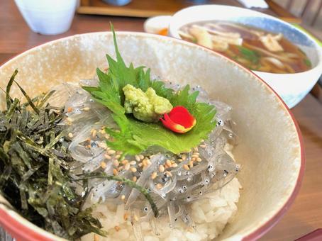 しらすご飯 しらすご飯 料理,ご飯,しらすの写真素材