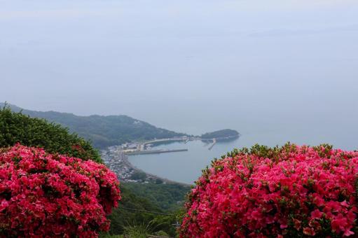 Azalea flowers and sea of mist on Mount Shiude in mid-June, JPG Azalea flowers and sea of mist on Mount Shiude in mid-June, JPG