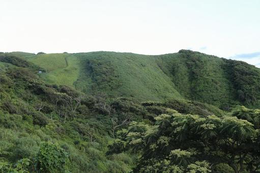 Photo, minamiizu, yusuge park, the scenery, 