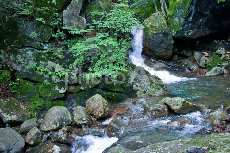 滝と川の流れ 川の上流,滝,川の写真素材