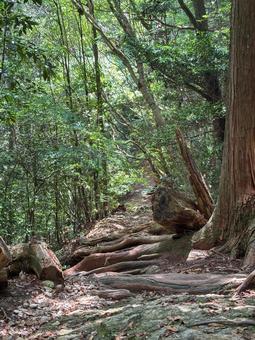 Photo, mountain path, landscape, hiking, 