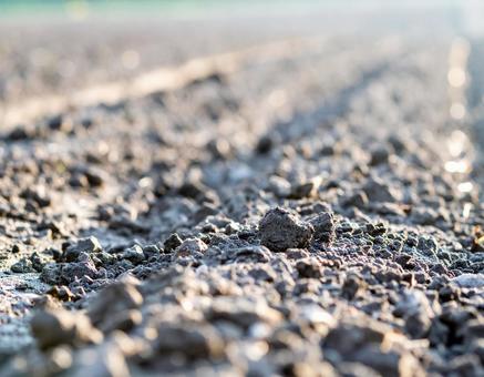 良質な畑 良質な畑の写真