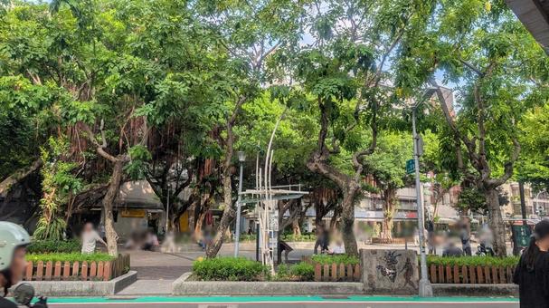 永康公園(Yongkang Park) 永康公園(Yongkang Park) 永康公園,yongkang,parkの写真素材