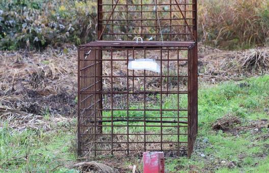 箱罠（熊罠）熊対策 箱罠,熊,クマの写真素材