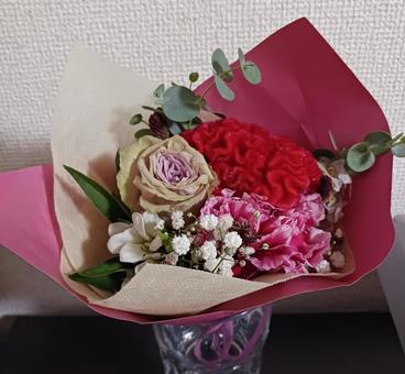 かわいいお花 かわいいお花の写真
